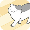 猫咪可爱 我是幽灵