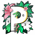 抖音数字填色Paintly破解版下载