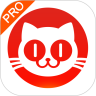 猫眼专业版app下载