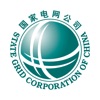 网上国网app苹果下载