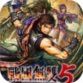 战国无双5秘武解锁版